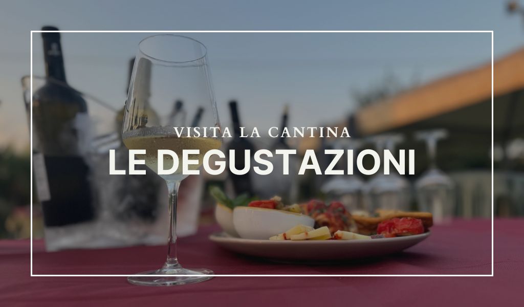 Visite e degustazioni in cantina